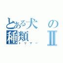 とある犬の種類Ⅱ（トリマー）