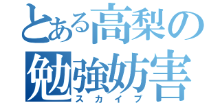 とある高梨の勉強妨害（スカイプ）