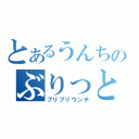 とあるうんちのぶりっとブチぶり（ブリブリウンチ）