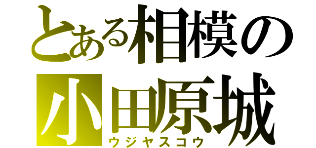 とある相模の小田原城主（ウジヤスコウ）