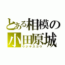 とある相模の小田原城主（ウジヤスコウ）