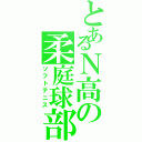 とあるＮ高の柔庭球部（ソフトテニス）