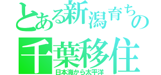 とある新潟育ちの千葉移住（日本海から太平洋）