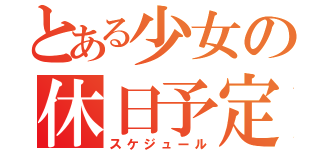 とある少女の休日予定（スケジュール）