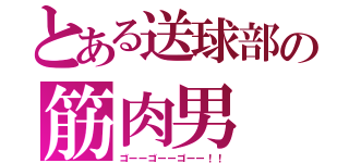 とある送球部の筋肉男（ゴーーゴーーゴーー！！）