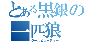 とある黒銀の一匹狼（クールビューティー）