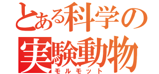 とある科学の実験動物（モルモット）