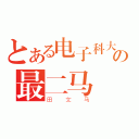 とある电子科大の最二马（田文马）