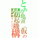 とある亀頭（仮）の勃起機構（ボッキシステム）