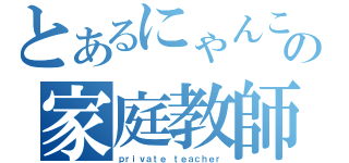 とあるにゃんこの家庭教師（ｐｒｉｖａｔｅ ｔｅａｃｈｅｒ）