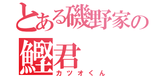 とある磯野家の鰹君（カツオくん）