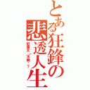 とある狂鋒の悲透人生Ⅱ（好雷文（不做嗎？）