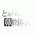 とある花粉症の鼻腔拡大（ブリーズライト）