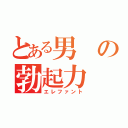 とある男の勃起力（エレファント）