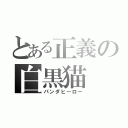 とある正義の白黒猫（パンダヒーロー）