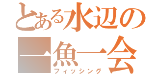 とある水辺の一魚一会（フィッシング）