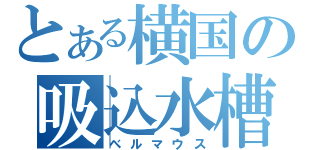 とある横国の吸込水槽（ベルマウス）