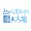 とある弐年の藤木大地（ポークハム）