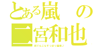 とある嵐の二宮和也（何でもこなすつまり器用♪）