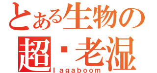 とある生物の超级老湿（ｌａｇａｂｏｏｍ）