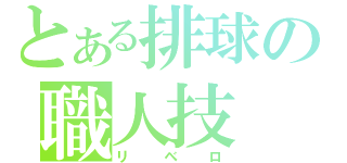 とある排球の職人技（リベロ）