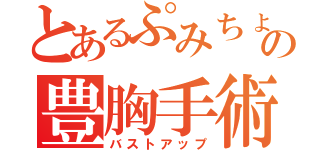 とあるぷみちょの豊胸手術（バストアップ）