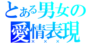 とある男女の愛情表現（×××）