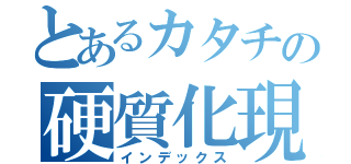 とあるカタチの硬質化現象（インデックス）