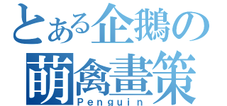 とある企鵝の萌禽畫策（Ｐｅｎｇｕｉｎ）