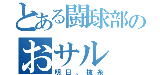 とある闘球部のおサル（明日、抜糸）