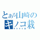 とある山崎のキノコ栽培（サラサラ頭）