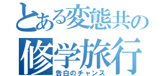 とある変態共の修学旅行（告白のチャンス）