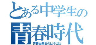 とある中学生の青春時代（青春出来るのは今だけ）