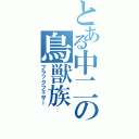 とある中二の鳥獣族（ブラックフェザー）