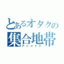 とあるオタクの集合地帯（アニメイト）