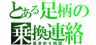 とある足柄の乗換連絡（徒歩約６時間）