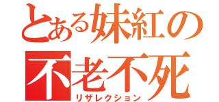 とある妹紅の不老不死（リザレクション）