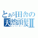 とある田舎の天然頭髪Ⅱ（イノベーター）