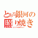 とある銀河の照り焼き（エリンギも好きらしい）