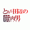 とある田辺の筋肉男（マイケル）