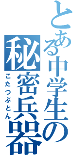 とある中学生の秘密兵器（こたつぶとん）