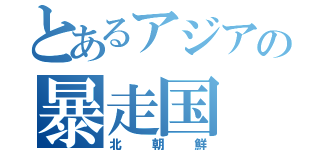 とあるアジアの暴走国（北朝鮮）