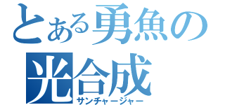 とある勇魚の光合成（サンチャージャー）