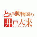 とある動物園の井戸大来（クソゴリラ）