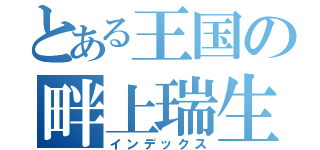 とある王国の畔上瑞生（インデックス）