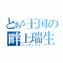 とある王国の畔上瑞生（インデックス）