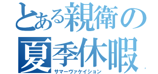 とある親衛の夏季休暇（サマーヴァケイション）