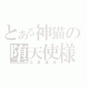 とある神猫の堕天使様（五更瑠璃）