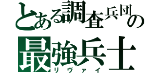 とある調査兵団の最強兵士（リヴァイ）