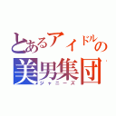 とあるアイドルの美男集団（ジャニーズ）